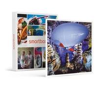 SMARTBOX - Coffret Cadeau Vol en aéroplume de 20 min avec 1 accompagnant au sol dans une grotte près d'Alès-Sport & Aventure G