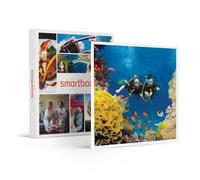 Smartbox - Exploration Plongée - Coffret Cadeau Sport & Aventure