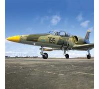 SMARTBOX - Pilote d'un jour en Floride : vol de 30 minutes en avion de chasse L-39 Albatros - Coffret Cadeau Sport & Aventure G