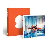 Smartbox - Plaisir de Voler : Simulation de Chute Libre