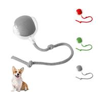 SmartDog Balle Électrique Jouet Interactif à 360° Auto Mobile pour Chiens Chats Surfaces (Gris)