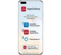 HUAWEI P40 Pro Elsa Gray 256 Go Services Google non integres