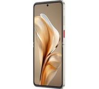 ZTE Nubia Flip 5G 17,5 cm (6.9") USB Type-C 8 Go 256 Go 4310 mAh Noir