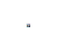 Smartphone Xiaomi Redmi Note 10 Pro gris 6.67 RAM 8 Go stockage 256 Go Onyx Gray G