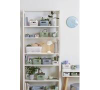 smartstore Corbeille de rangement Essence S vert