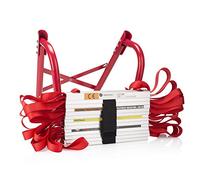 Smartwares Échelle de Secours - Rouge - Acier - 4.5 m de Long - 450 kg Max - Idéale pour Une évacuation du 1er étage - 10.015.18