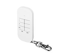 Smartwares SH4-90150 Télécommande 2 canaux avec porte-clefs