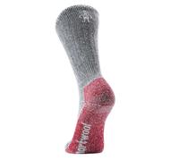 Smartwool Mountaineer Classic Edition Max Cushion Socks Gris EU 38-41