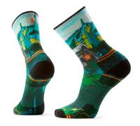 Smartwool - Hike Targeted Cushion Trail Trekker Crew - Chaussettes de randonnée - EU 46-49 - winter moss