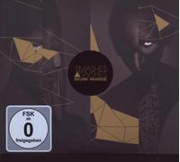 Smashes & Trashes by Skunk Anansie (2009-11-03)