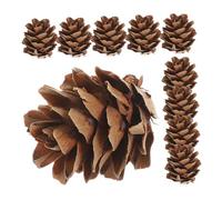 SMASOLO 1 Boîte Mini Pine Cones Decorations Small Natural Pinecone Ornaments for DIY Crafts Festive Tree Trimmings Holiday Table Embellishments Christmas and Thanksgiving Wedding Decor