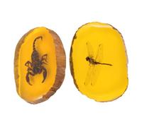 SMASOLO 2 pièces Pendentifs Specimen Ambre Artificiel pour Création Bijoux DIY Accessoires Résine Durables et Sécurisés Colliers Bracelets et Porte-clés Cadeau Reconnaissance Insectes