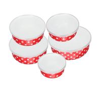 SMASOLO 5 pièces Bol Émaillé avec Couvercle Étanche Saladier Hermétique pour Cuisine Maison Bureau Bol Multifonction pour Salade Riz Soupe et Stockage Alimentaire