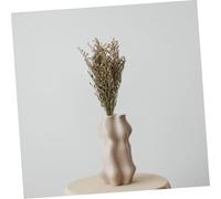 SMASOLO 6 pièces Séchées Décoratives Gypsophile et Herbe Amour Ornements pour Décoration Maison Bureau et Photographie Cadeau Élégant Couleur Aléatoire Couleur Aléatoire