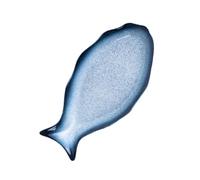 SMASOLO Assiette Poisson Céramique pour Cuisson Vapeur Micro-ondes Plateau Multifonction pour Service et Conservation des Aliments Design Créatif