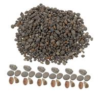 SMASOLO Galets Décoratifs Naturels pour Mini Jardin Aquarium et Bassin Pierres de Rivière pour Décoration de Table Sachet