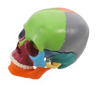 SMASOLO modèle de crâne sculpture du crâne figure d'anatomie modèle de figure de dessin crâne détachable tête de crâne humain réaliste casse-tête d'anatomie accessoire de crâne Plastique