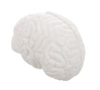 SMASOLO Modèle De Figurine Anatomique Détachable Avec Base Affichage Pour Enseignement Scientifique Et Étude