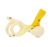 SMASOLO Modèle Oreille Humaine Agrandi Outil Pédagogique pour Enseignement de de Oreille Interne Prop Didactique Scolaire pour Compréhension et Recherche