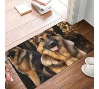 SMAZDFXX Tapis de Porte d'entrée en Forme de Berger, antidérapant, idéal pour la Cuisine, la Chambre, la Salle de Bain et la décoration intérieure (40 x 60 cm).