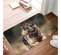 SMAZDFXX Tapis d'entrée 40 x 60 cm, Motif Berger Allemand, Absorbant et Facile à Nettoyer, idéal pour Une terrasse, Une Maison de Campagne ou Un intérieur de Style Rustique.