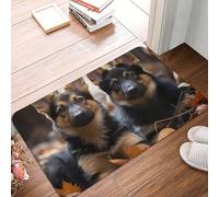 SMAZDFXX Tapis d'entrée 40 x 60 cm, Motif Chien de Berger, Absorbant et Facile à Nettoyer, idéal pour Une terrasse, Une Maison de Campagne ou Un intérieur de Maison de Campagne.