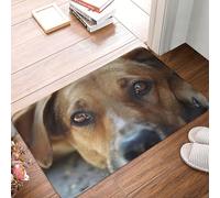SMAZDFXX Tapis d'entrée 40 x 60 cm, Motif Chiot aux Yeux tristes, Absorbant et Facile à Nettoyer, idéal pour Une terrasse, Une Maison de Campagne ou Une Maison de Campagne.