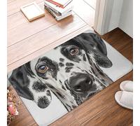 SMAZDFXX Tapis d'entrée 40 x 60 cm, Motif Chiot regardant l'objectif, Absorbant et Facile à Nettoyer, idéal pour Une terrasse, Une Maison de Campagne ou Un intérieur de Style Rustique.