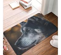 SMAZDFXX Tapis d'entrée 40 x 60 cm, Motif Portrait d'un Vieux Chien, Absorbant et Facile à Nettoyer, idéal pour Une terrasse, Une Maison de Campagne ou Un intérieur de Maison de Campagne.