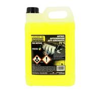 SMB AUTO 356 Antigel