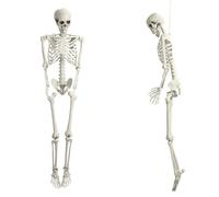 Smbcgdm Squelette Humain de 5,4 Pieds Grandeur Nature avec des articulations Mobiles, 1pc Halloween Human Os Posable Squelette Prop. 170 cm
