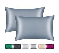 Smbeope Lot de 2 taies d'oreiller 100 % soie de mûrier pour cheveux et peau, avec fermeture éclair dissimulée, deux côtés, 22 mommes, douce, respirante et lisse (bleu air, grand lit)