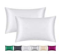 Smbeope Lot de 2 taies d'oreiller 100 % soie de mûrier pour cheveux et peau, avec fermeture éclair dissimulée, deux côtés, 22 mommes, douce, respirante et lisse (blanc, très grand lit)