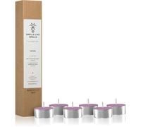 Smells Like Spells Norse Magic Mimir bougie chauffe-plat (relaxation/meditation) 6 pcs