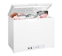 SMETA Congélateur Camping 191L Congélateur à Gaz/220V, Silencieux pour Chalet, Maison, Mobile-home, Garage, Cabanon,Gîte -12°C-0°C Blanc