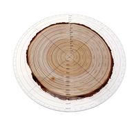 Smgda Chercheur de centre de boussole de 10 '', règle ronde en acrylique transparent pour dessiner des cercles, tour à bois tournant pour localiser la mesure de travail du bois au centre