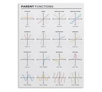 SMGLRUEAT Parent Functions and Graphs Reference Chart Essential Math Poster for High School and College Students(Framed,16x24inch(40x60cm))