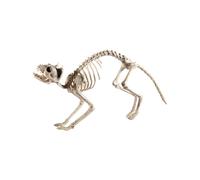 Smiffy's Décoration Halloween Squelette de chat 60 x 12 x 25 cm Naturel