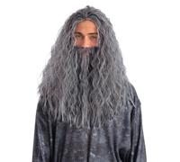 Smiffys ensemble perruque et barbe de sorcier, gris, pour adultes, déguisement d'Halloween