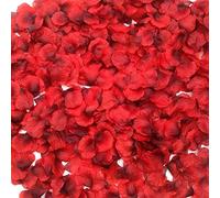 Smile Party Smile fête 2200 pcs pétales de Rose en Soie Décoration de Fleur de Mariage