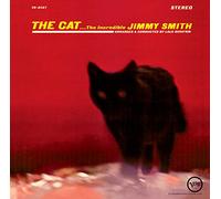 The cat