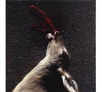 Smith, Sean - Huge Fluid Freedom