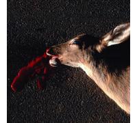 Smith, Sean - Huge Fluid Freedom