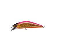 Smith (SMITH LTD) D-Contact 63 G Pink (japan import)
