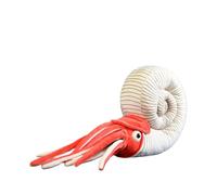 SMJWH Jouet en Peluche d'ammonite réaliste, Animal de créature Marine préhistorique, Ancienne Douce for Les Fans paléontologie et Cadeau Scientifique