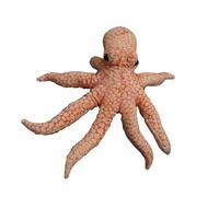 SMJWH Peluche Pieuvre réaliste, Animal Marin en Peluche Douce, créature Marine, for et Tout-Petits