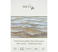 smlt AS de 10 (300)/Pro Line A4 Bloc de 20 feuilles de papier spécial aquarelle 10 Feuilles de papier Blanc pour traditionnel professionnel, 300 g/m², 100% coton