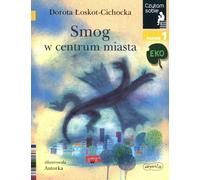Smog dans le centre ville Je me lis le niveau 1 Eco