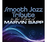 Smooth Jazz Tribute To The Best Of Marvi