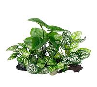 Smoothedo-Pets Betta Lot de Feuilles Souples pour décoration d'aquarium